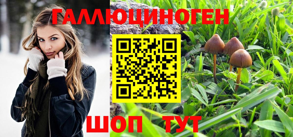 Псилоцибиновые грибы Cubensis Йошкар-Ола